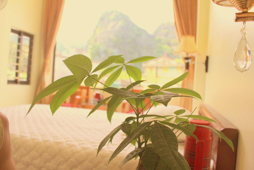 Sierra Homestay Ninh Binh Exteriér fotografie